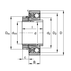 {S 2206-K-2RS-TVH-C3 + H306,  DIN 630  DIN 5415 ˜ʵҪߴ, F׺;oɂȴܷ